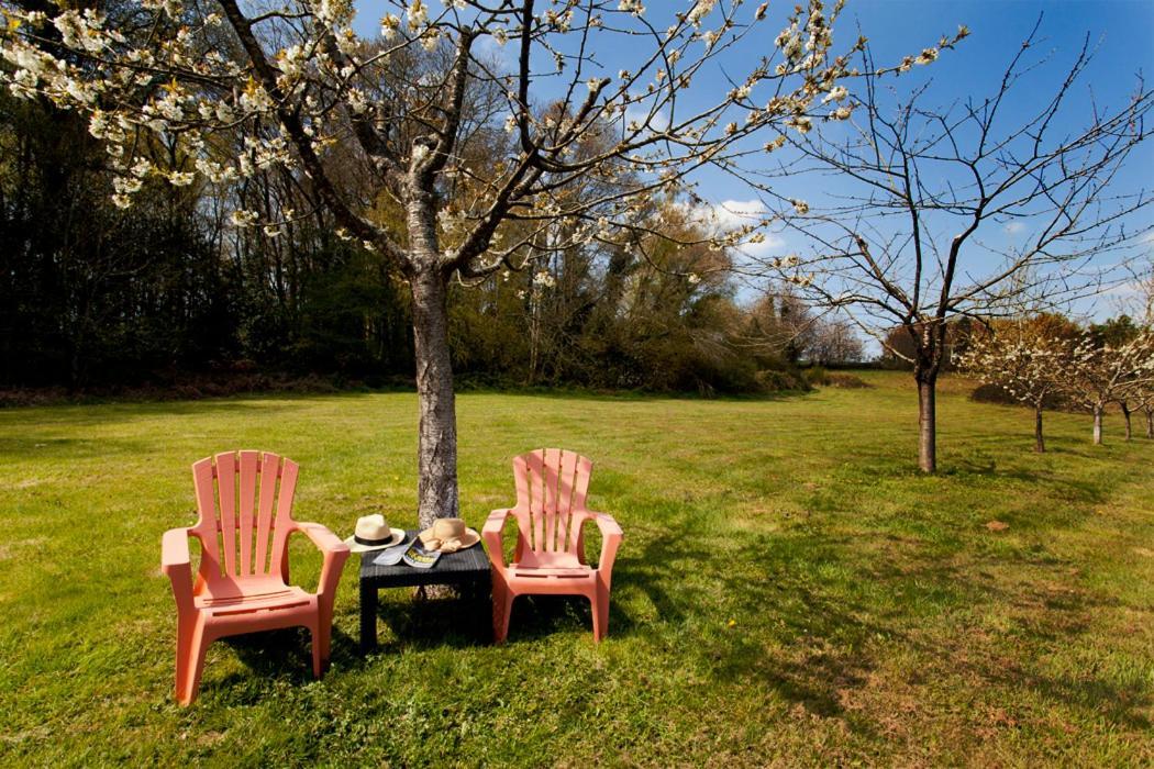 Stone Cottage With Modern Cosy Interior Near To Josselin Perfect Retreat For Writers Or Star Gazers Guegon Ngoại thất bức ảnh